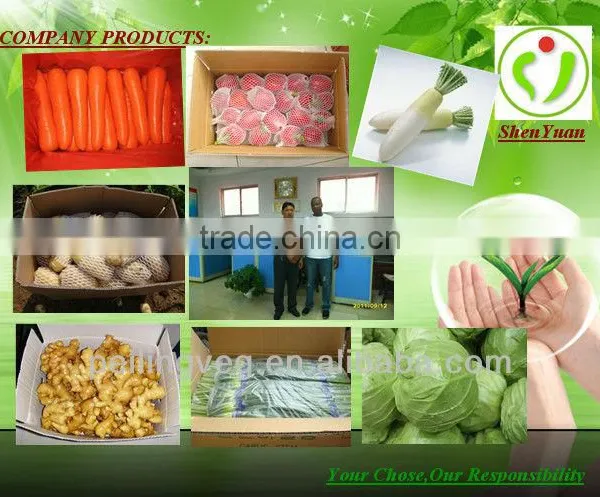 Fresh Vegetable( Carrot ,giner,onion,potato,garlic,taro photo-6