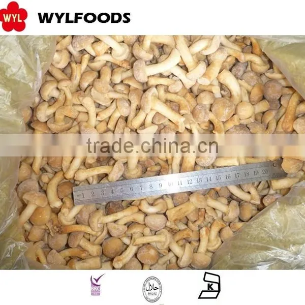 2016 Frozen Mushroom Nameko With Best Prices,Grade A photo-5
