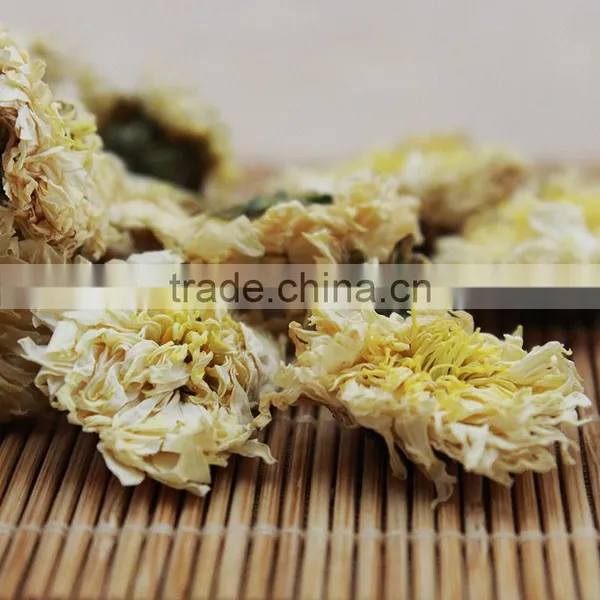 2015yr Huangshan Tribute Chrysanthemum photo-4