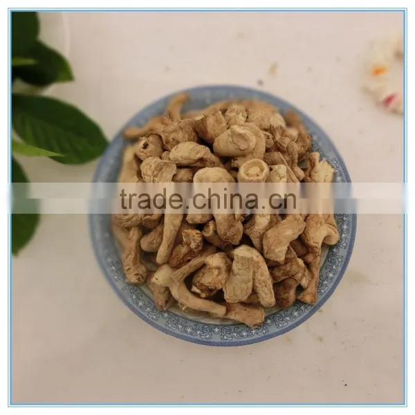 Dried Shiitake Mushroom Stem Spawn photo-6