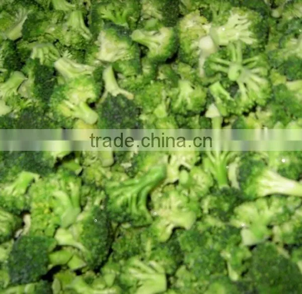 IQF Healthy Vegetable Products Frozen Vegetables Pinguin Broccoli in Hot Sales photo-2