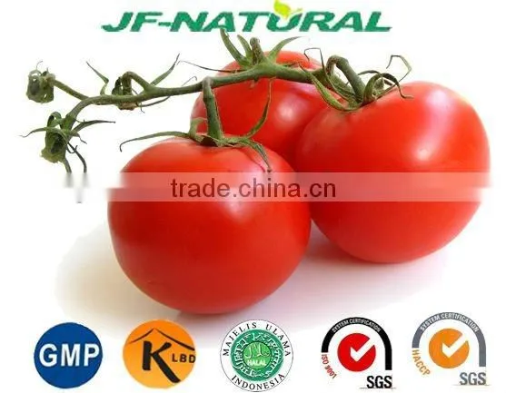 Tomato Puree Fruit Powder ISO, GMP, HACCP, KOSHER, HALAL Certificated. photo-2