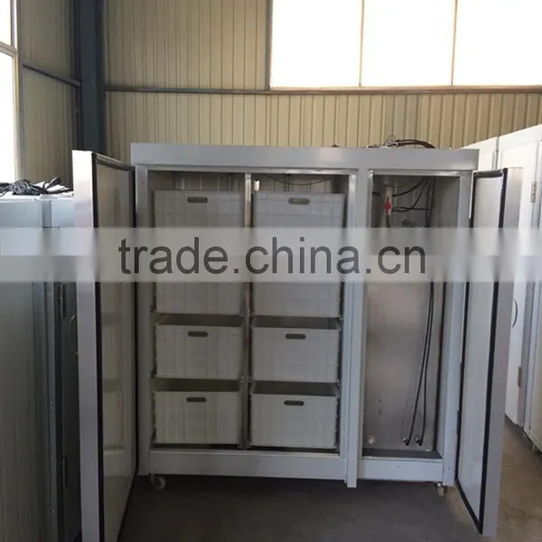 Best Selling Automatic Bean Sprout Machine/soya Bean Sprout Machine photo-2