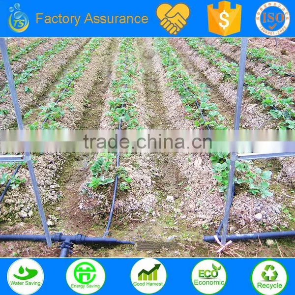 TS Irrigation Build the Samll Farm Irrigation System photo-2