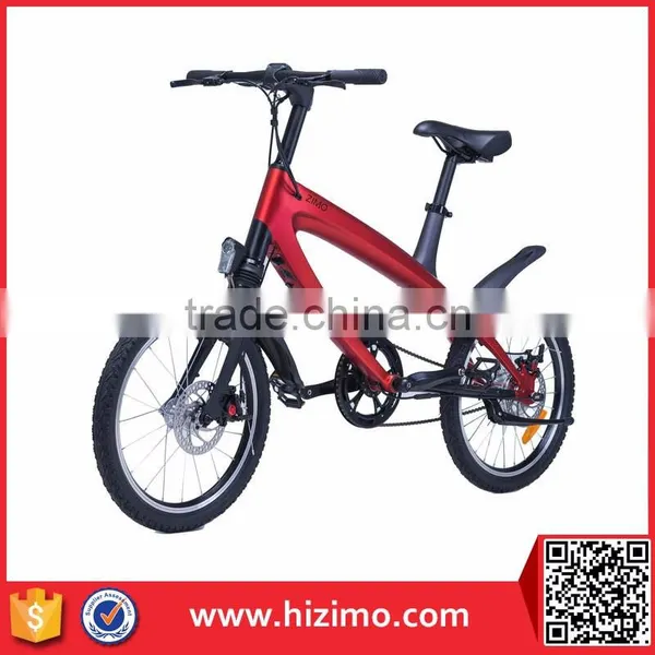 2017 New 36V Pedal Assist Electric Fat Bike photo-4