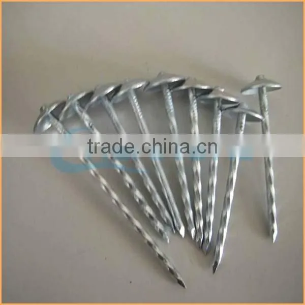 Top Quality Flat Top Yellow Coated Ring/smooth Coil Roofing Nails Trusted Chuanghe Suppliers From Com photo-5