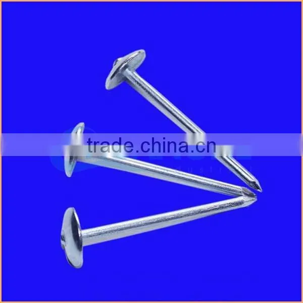 Top Quality Metal Iron Nail Type Roofing Nail With Umbrella Trusted Chuanghe Suppliers From Com photo-4