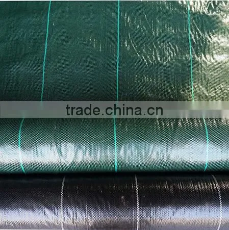 Garden Landscape Fabric photo-6