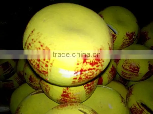 Terracotta Coin Bank photo-4
