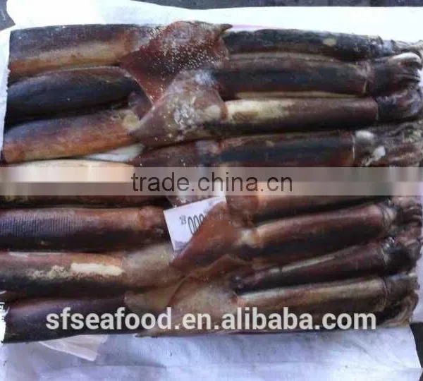 Frozen Seafood Illex Squid 200-300g photo-3