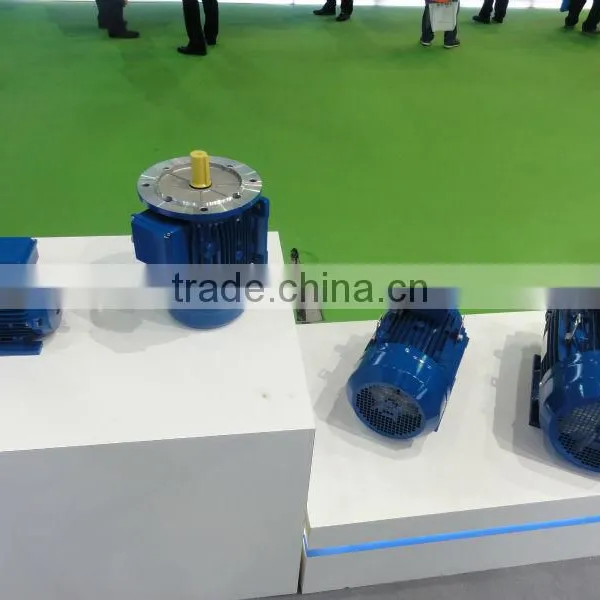 IEC Standard Three Phase IE3 Electric Motor With CE photo-5