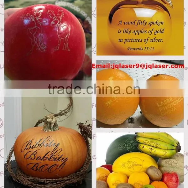 Food and Beverage Service Equipment Laser Marking Machine for South Africa photo-2