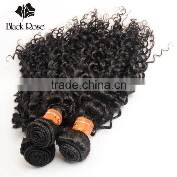 Black Rose Shengyuan Hair Factory Original Curly Indian Human Hair photo-6