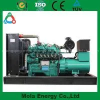 Gasoline Generator