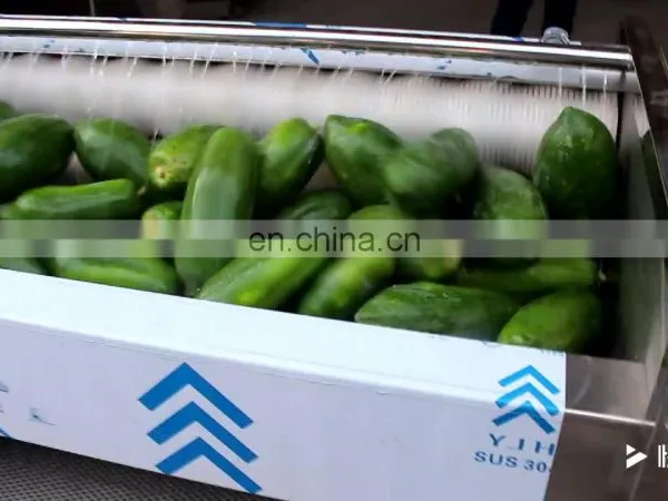 Wholesale Automatic Vegetable Irish Potato Onion Ginger Peeler Taro Radish Date Passion Fruit Peeling Machine photo-1