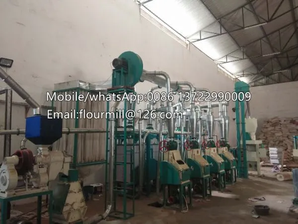 15TPD Corn Mill Grinder Ugali Making Machine Flour Mill photo-2