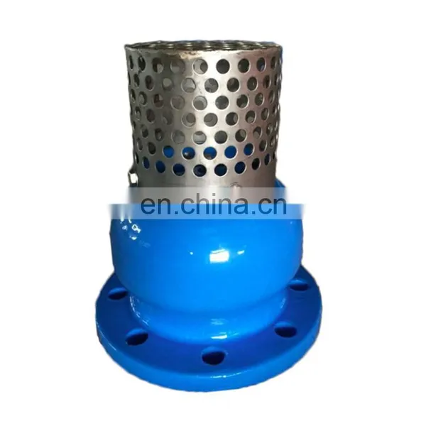 DN150 PN16 GGG50 Ductile Iron Foot Valve With Stainless Steel Strainer photo-2