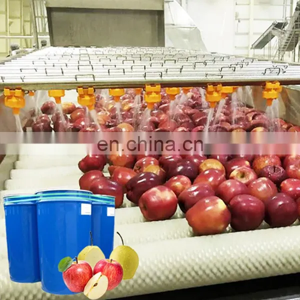 Tomato Filling Equipment Production Tomatoes Processing Line Machine photo-5