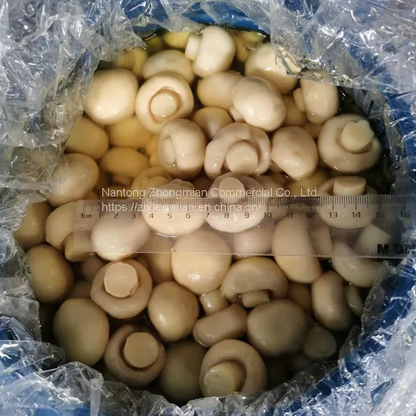 Whole Mushroom Slice Mushroom in Brine or in SO2 in Drum SETA Preservada en Tambor