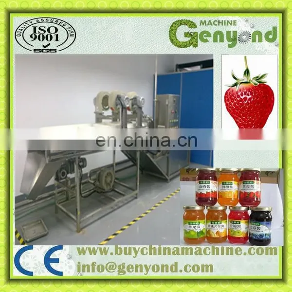 Small Model Fruit Paste /Jam Production Line /equipment for Fruit&vegetable Pre-process Machine photo-2