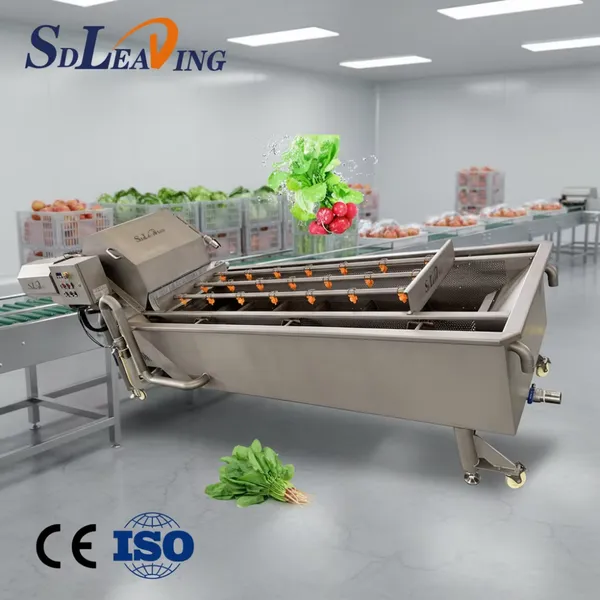 Vegetable and Fruit Washing Machine Bubble Cleaning Cabbage Lettuce Pepper Washer for Vegetable Processing Plants