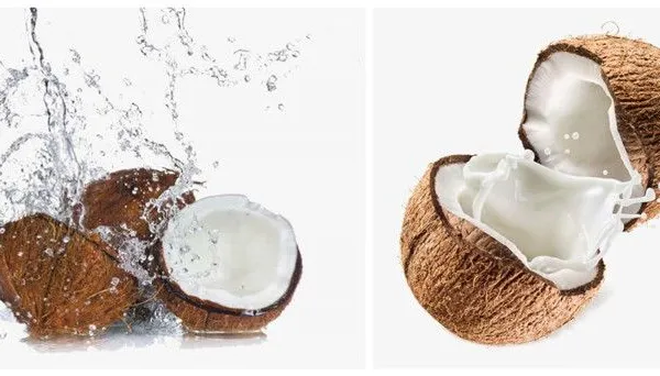 High Speed Coconut Cream Processing Machine photo-6