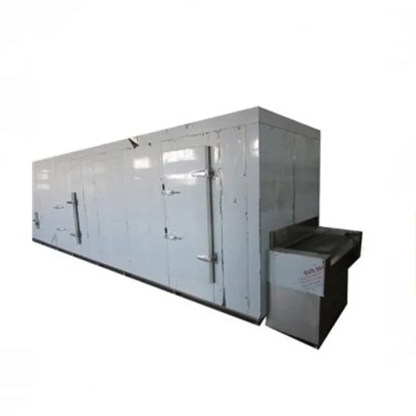 Shanghai IQF Quick Freeze System for Fresh Fruits & Vegetables Instant Frozen Vegetable Machine