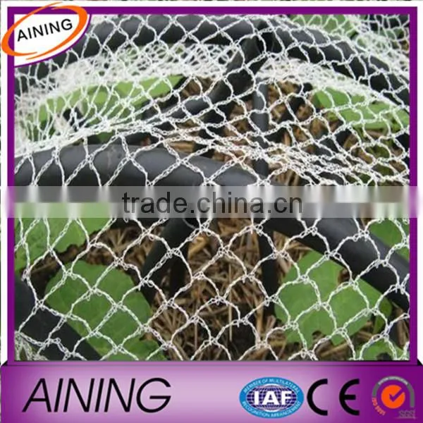Hot! Nylon Net To Catch Birds & HDPE Anti Bird Net photo-5