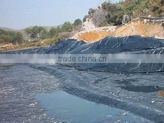 Blue Color Geomembrane photo-6
