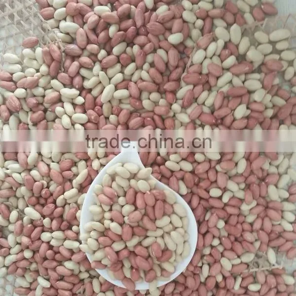 Blanched Peanut photo-2