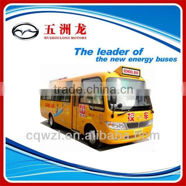 45 Seats Diesel School Bus for Sale