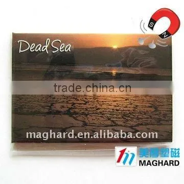 Tin Fridge Magnets Tourist Souvenir Dead Sea