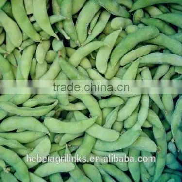 Frozen Soyabean, Frozen Type Fresh Soyabean photo-6