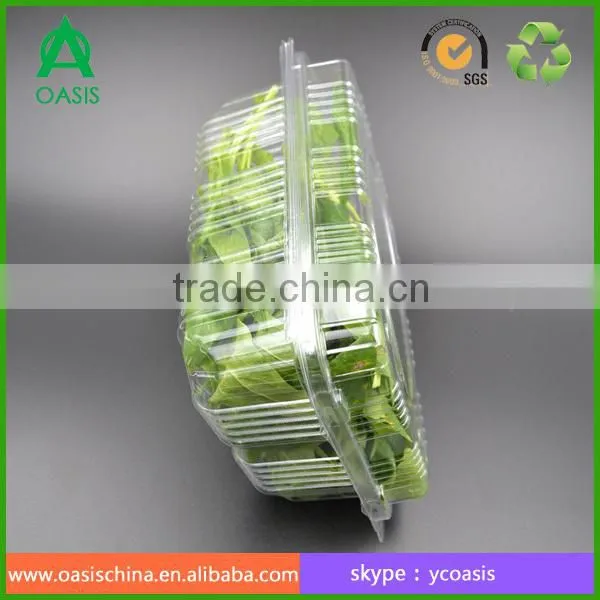 Plastic Clear Fruit Vegetable Packaging Box photo-5
