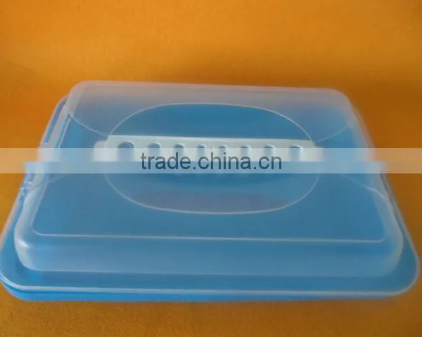 Plastic Fresh Box