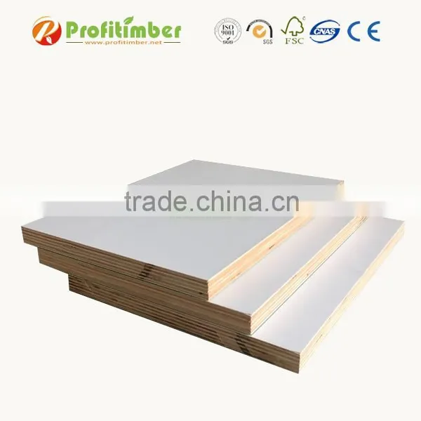 Lowest White Melamine Plywood Price photo-3