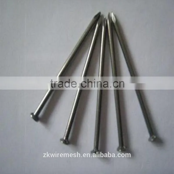 Galvanized Common Nails/Common Wire Nails/Iron Nails photo-2