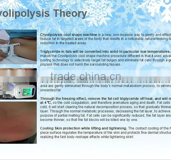 Fat Reduction TaiBo Beauty SUPER Promotion !!!Good Effect Cryolipolysis Lose Weight Machine/laser Lose Weight(809nm Laser Led) 500W photo-5