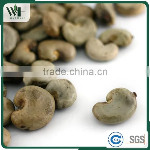 Jumbo Vietnam Shell Attached Cashew Nut photo-5