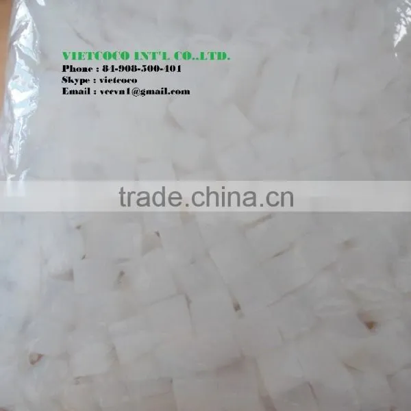 NATA DE COCO