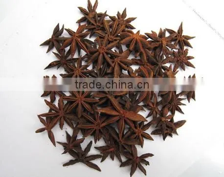 MANUFACTURER OF SPRING STAR ANISE photo-2