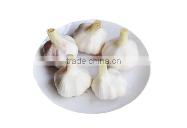 OULENO Red Onion Garlic Machine Slicing Machine Multifunctional Garlic Slices Slicing Machine Manufacturers Supply Machine Red d photo-3