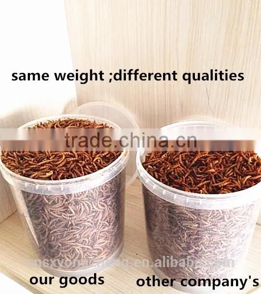 2.8 cm Dried Mealworm With FDA Certification photo-6