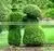 CHY1010808 Guangzhou Wholesale Artificial Cartoon Topiary Animals Plastic Artificial Plants Topiary Animal photo-6