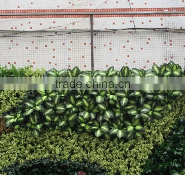 Fake Green Wall/artificial Green Wall Vertical Plant Wall photo-2
