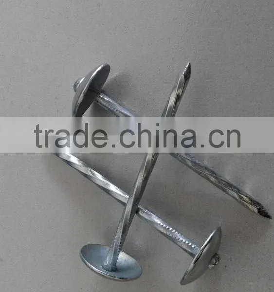 Galvanized Roofing Nails/umbrella Roofing Nails/roofing Nails With Washer photo-3