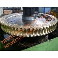 Bronze Worm Gear