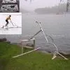Water Bird