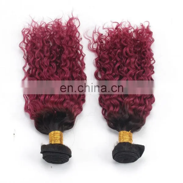 8a Grade Brazilian Hair Brazilian Ombre Weave Hair photo-4