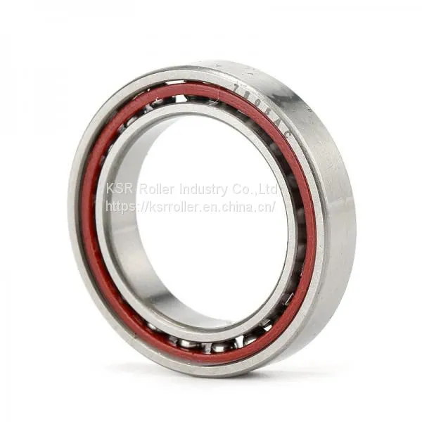 Slewing Ring